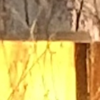 Shrine of Hope
